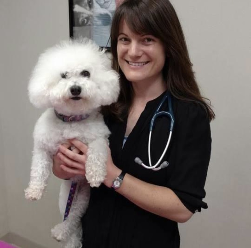 West County Animal Clinic Manchester, MO Our Team